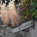 카페테라스 | 경주 보우하사 ! 황오동 카페 테라스 내돈내산 후기