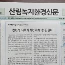숲향 이미지