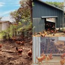 웰빙영농조합 법인농장 이미지