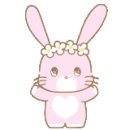 인천대학교(제물포캠퍼스) 이미지