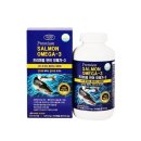 에버그린 이미지