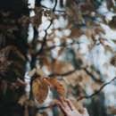 비래골길 이미지