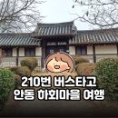 강변마을여자경로당 | 안동| 여자 혼자 뚜벅이 하회마을 여행 | 210번 버스/짐보관/솔직후기 (공연 놓친 썰)