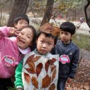 대전숲 어린이집 이미지