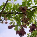 흙이랑 나무랑 이미지