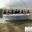 초석농장 이미지