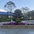 레저문화센터 | [공지] [제12편] 달랏 티 리조트 프렌 컨벤션센터 &amp; 티 전시관 탐방기 – 자연 속 MICE의 가능성을 보다