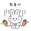 모퉁이옷장 이미지