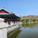 분당-66 | 분당 중앙공원 벚꽃 주차장 돌마각 분당데이트