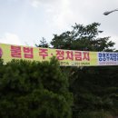 성남시 모란견인보관소 이미지