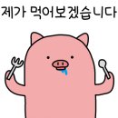 피자는 치즈빨 다정점