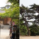 수덕사선미술관 이미지