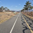 용교리제방 Daum카페