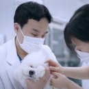장안동물병원 이미지