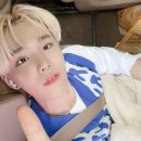 시네마노래짱 이미지