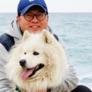 영심이네 펜션 이미지