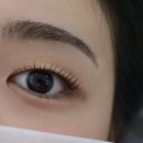 안산유통상가 2동 | 안산 선부동ㅣ블리스뷰티 속눈썹펌 후기