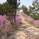 정상메디칼 이미지