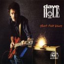 (블루스-기타) 앨범[Short Fuse Blues] Dave Hole - Short Fuse Blues 이미지