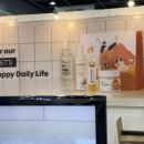 배드펫컴퍼니 이미지