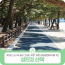 송림공원하상정(솔바람) | 300년 소나무 숲이 건네는 위로, 하동 송림공원에서 즐기는 섬진강 산책