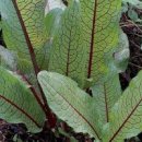 금강초등학교 이미지