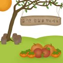 우산 행정사사무소 | 미리 추석인사, 다이소 우드퍼티 후기