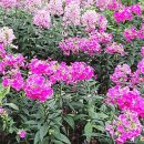 작은막공원 이미지