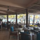 알라딘목장 | 나트랑 판랑 사막 선셋투어, 양떼목장, 포롱자이 사원 레츠고