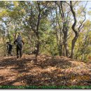 상리정미소 이미지