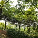 금호1가동 주민센터 이미지