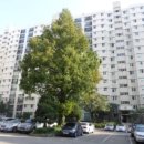 동남로 71길 이미지