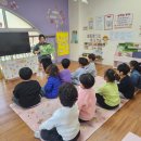 🐿️11월 3주 꽃잎반 이야기(3) 이미지