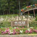 아미초교 이미지