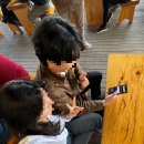 한우돈 | 가성비 끝판왕 임가네 한우마을 내 돈 내산 후기 추천