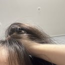 [취준일기] KT 에이블스쿨 미니프로젝트 2차 :: 데이터 분석