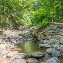 김천물소리생태숲_#2 이미지