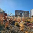 구로-구로-구로-147 이미지