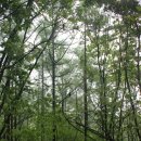 앞산공원 이미지