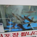 상희수산 이미지