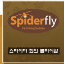 스파이더플라이 이미지