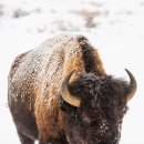 천사의 손 이미지