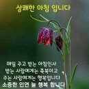 참좋은인연