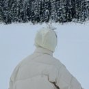 [캐나다_밴쿠버] 스노우볼 실사판 겨울 밴프 여행 (Banff tour) - 3박4일 오케이투어 후기 (DAY 1,2)