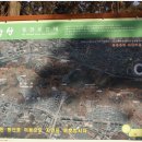 선학역 이미지