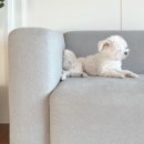 풍동동물병원 이미지