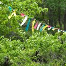 호국관음사 네이버블로그