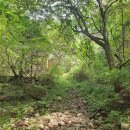 경기둘레길 가평18코스 이미지