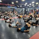 탑비트복싱클럽 이미지