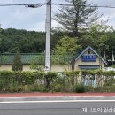 (주)광판팔뚝김밥 이미지
